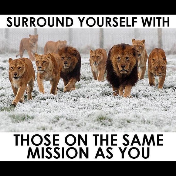 Meet your Posher, Jennifer - Picture 5 of 5